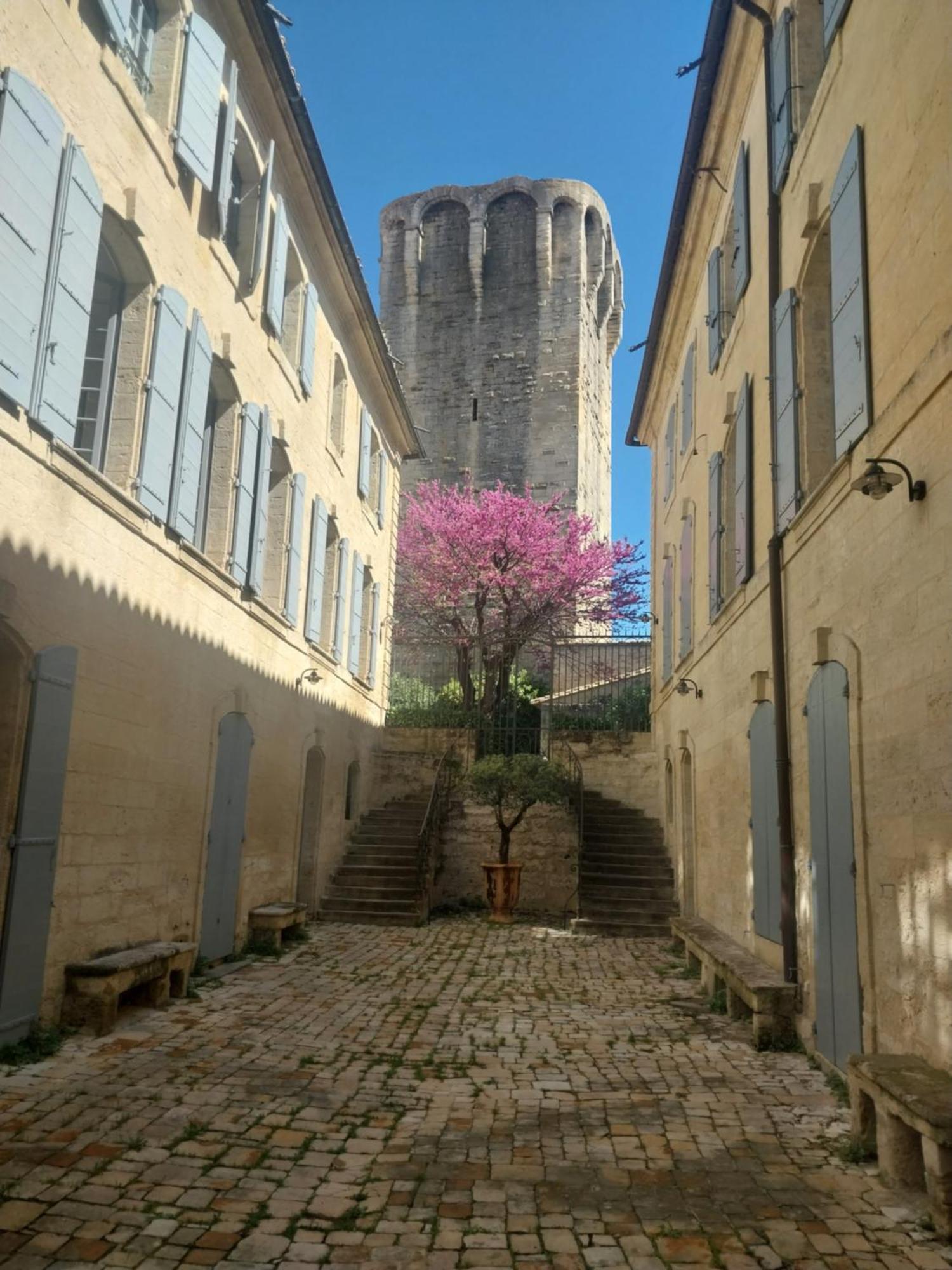 Studio Au Centre Historique D'Uzès Екстериор снимка